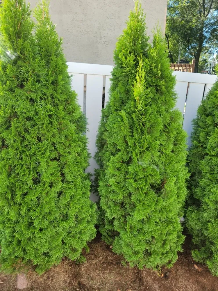 Custom residential landscaping in West Chicago, IL by Luciano's Landscaping