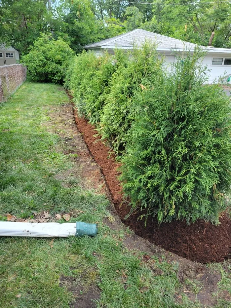 Custom lawn care service for residential properties in West Chicago, IL by Luciano's Landscaping