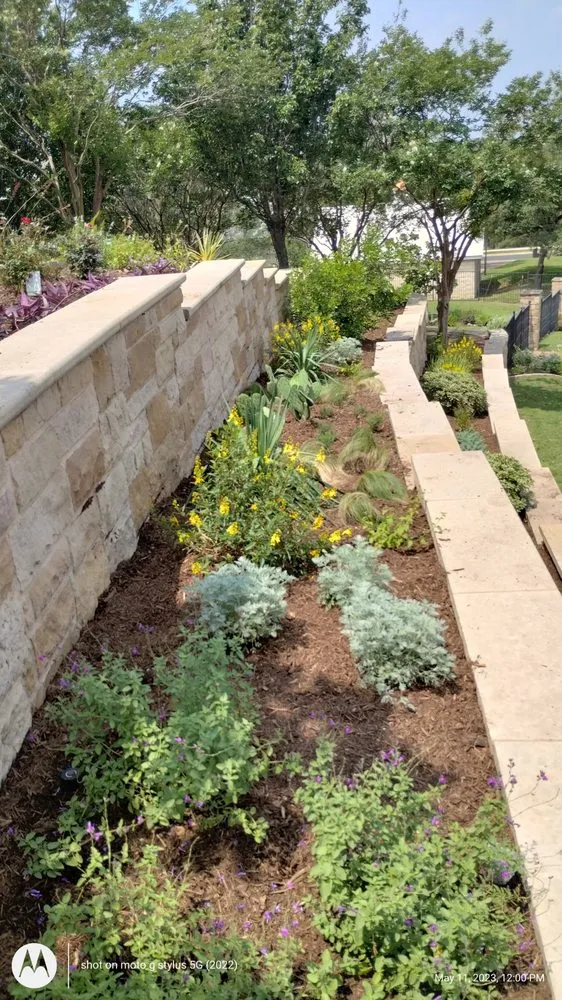 Professional outdoor landscaping in Liberty Hill, TX - Lucid Landscaping