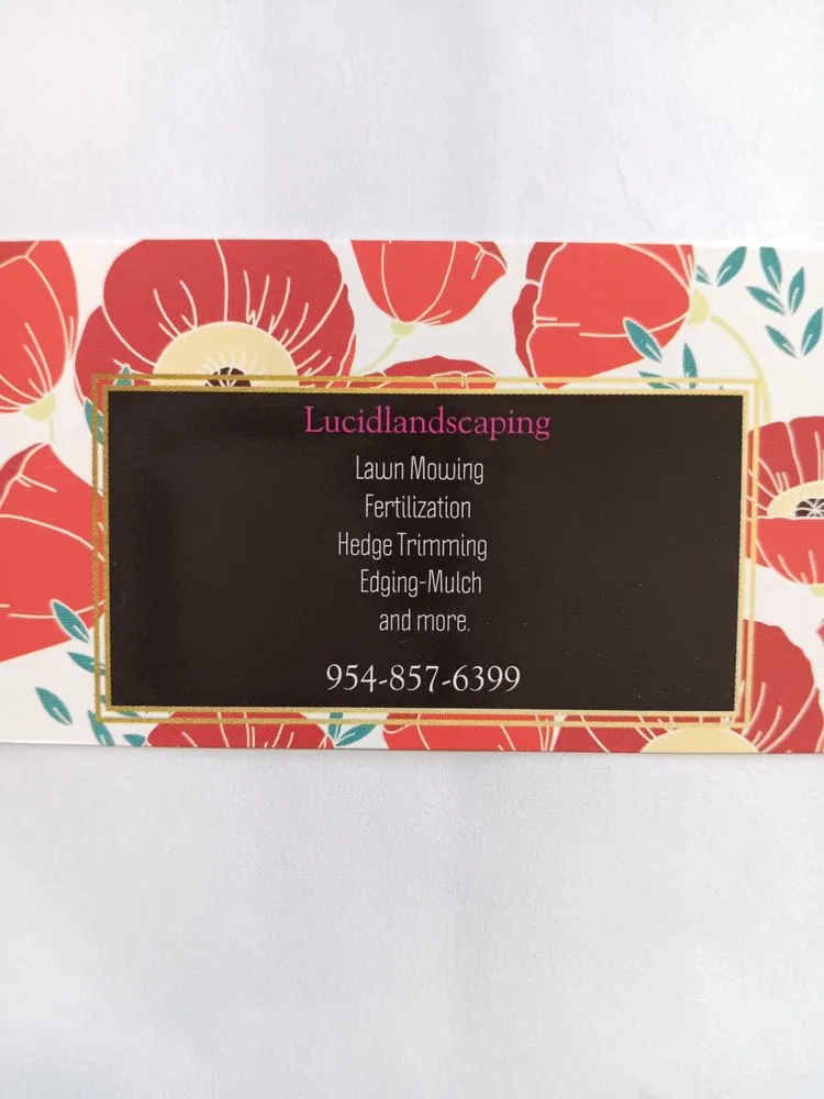 Professional landscaping services in Orange, TX - Lucid Landscaping