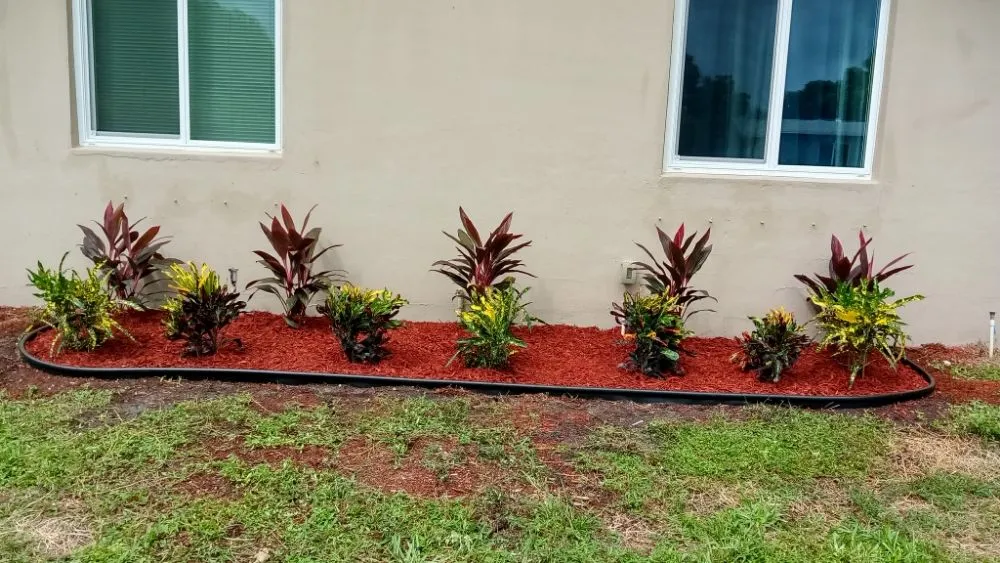 Top-rated lawn care service in Orange, TX by Lucid Landscaping