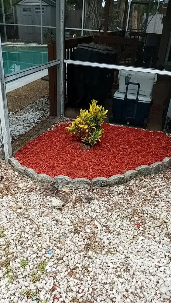 Top-rated lawn care service experts serving Orange, TX - Lucid Landscaping