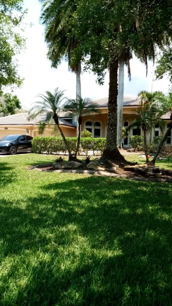 Expert outdoor landscaping in Orange, TX - Lucid Landscaping