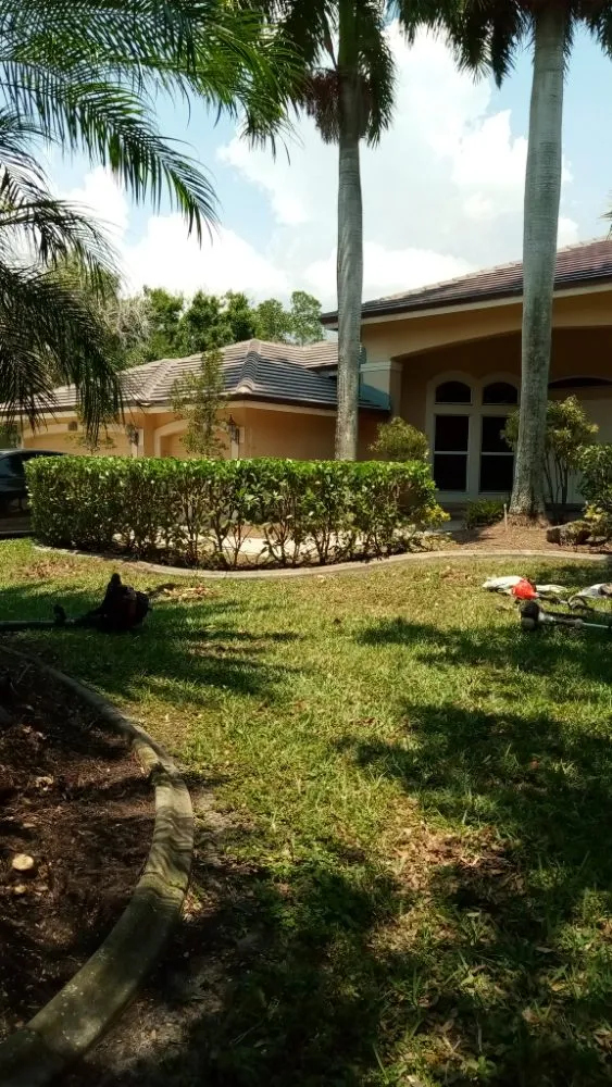 Trusted yard cleanup service near you in Orange, TX by Lucid Landscaping