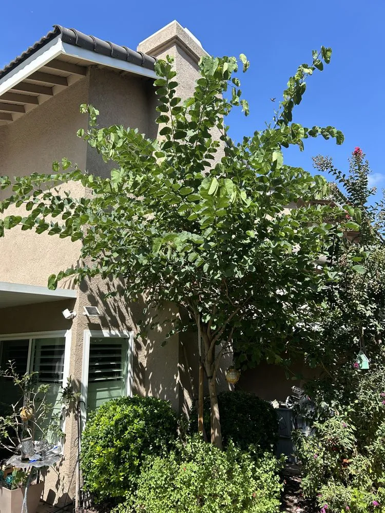 Professional residential landscaping in Diamond Bar, CA by Lucille's Landscaping