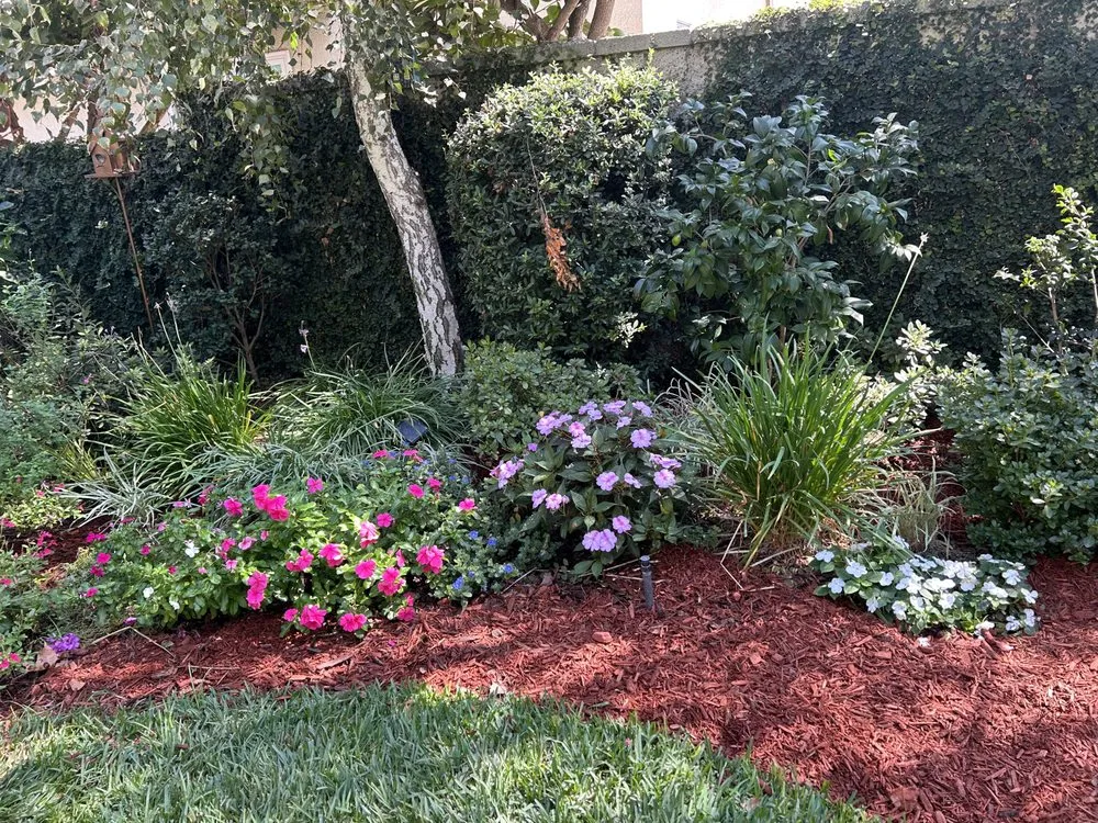 Top-rated landscaping services experts serving Diamond Bar, CA - Lucille's Landscaping