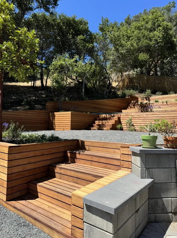 Expert yard cleanup service for beautiful yards across San Rafael, CA - Lucio Landscape Construction