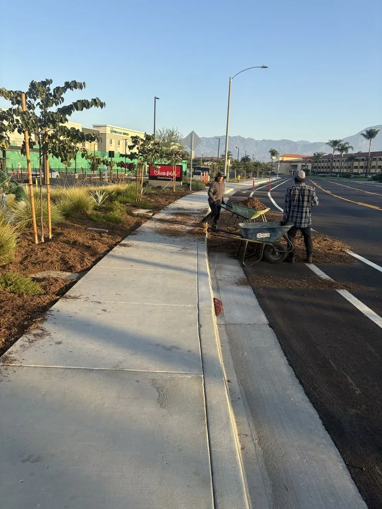 Top-rated garden landscaping in Ontario, CA by Lucios Landscaping Services