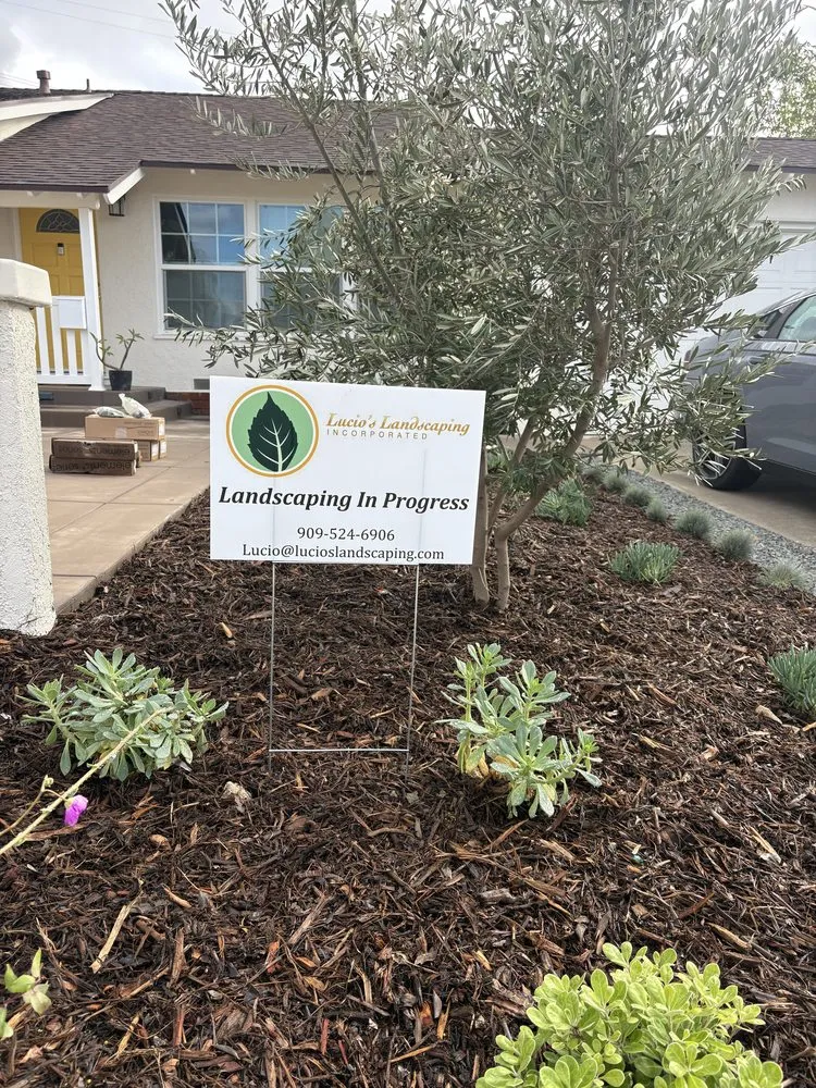 Top-rated landscape installation in Ontario, CA by Lucios Landscaping Services