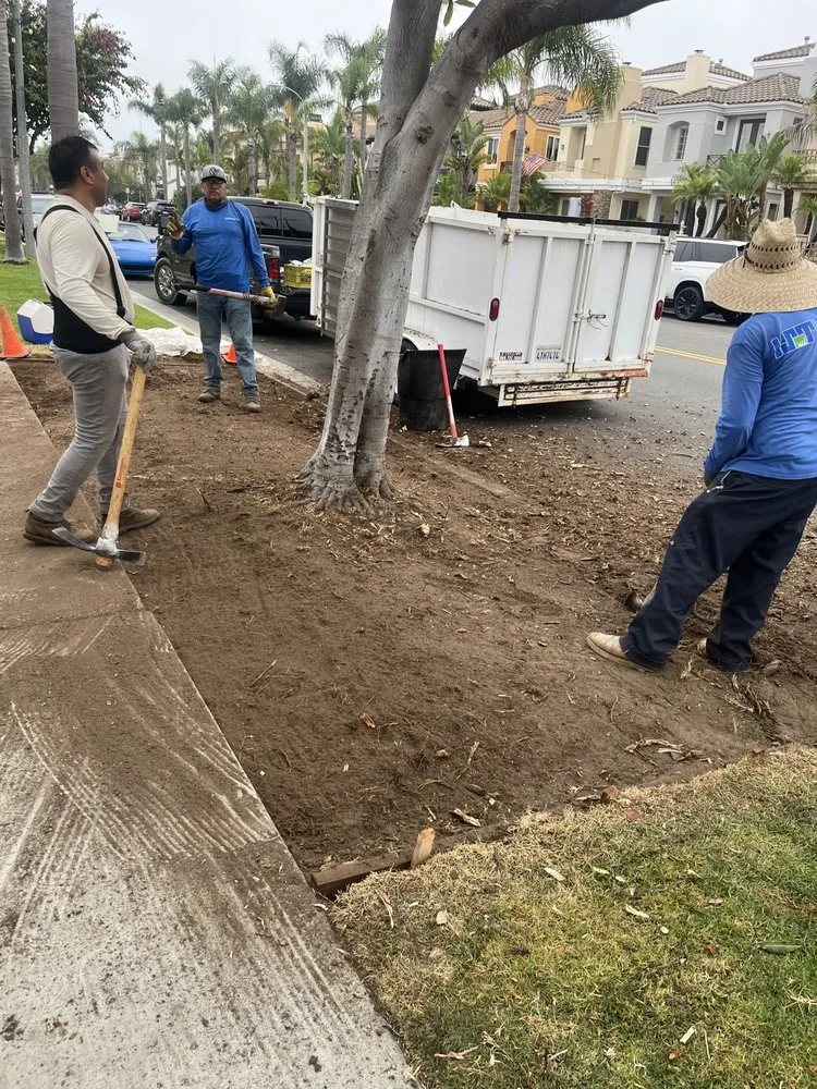Local yard cleanup service for residential properties across Ontario, CA - Lucios Landscaping Services
