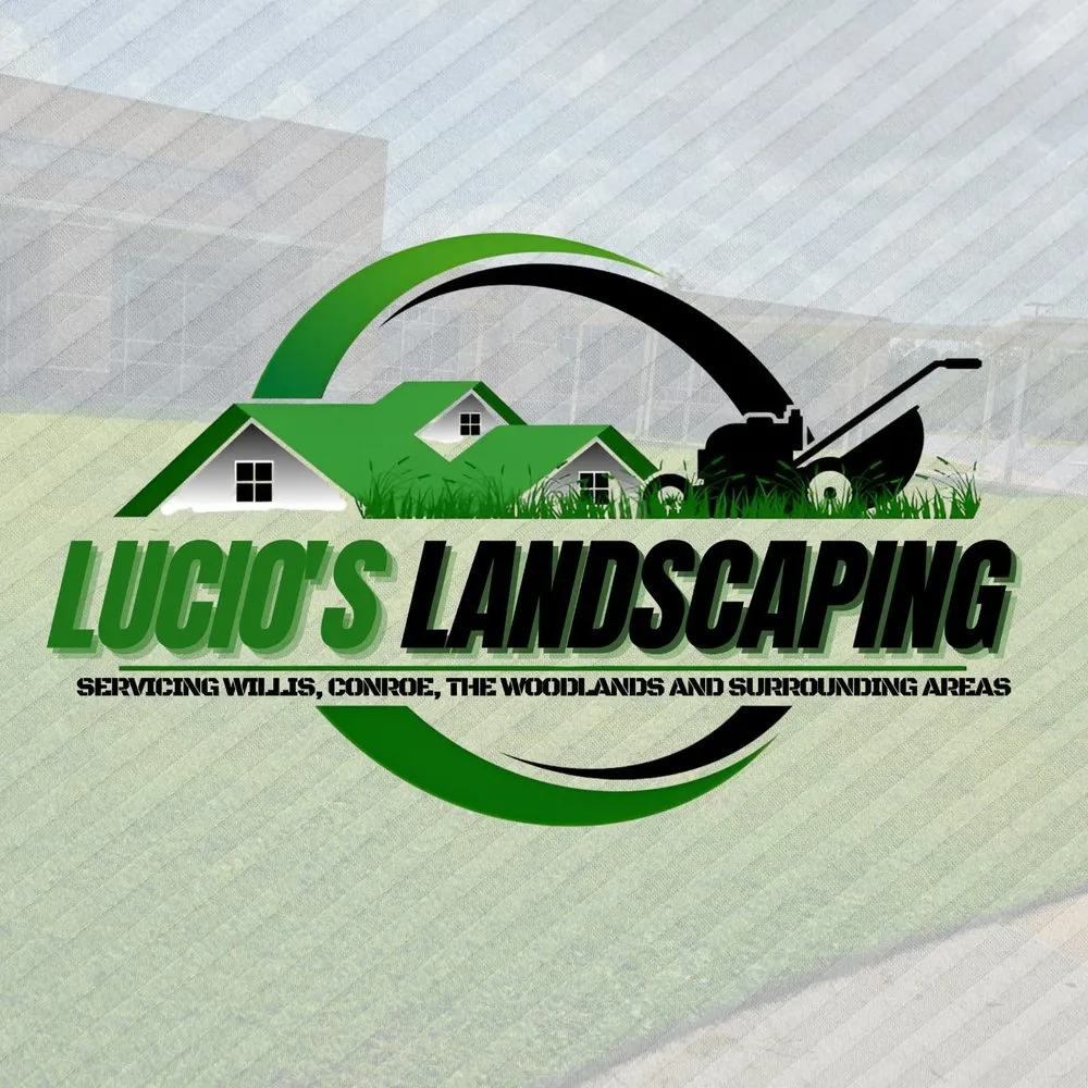Professional lawn care service experts serving Willis, TX - Lucio’s Landscaping