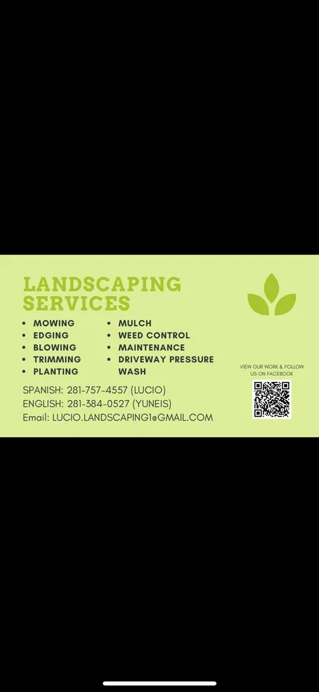 Reliable yard maintenance in Willis, TX by Lucio’s Landscaping