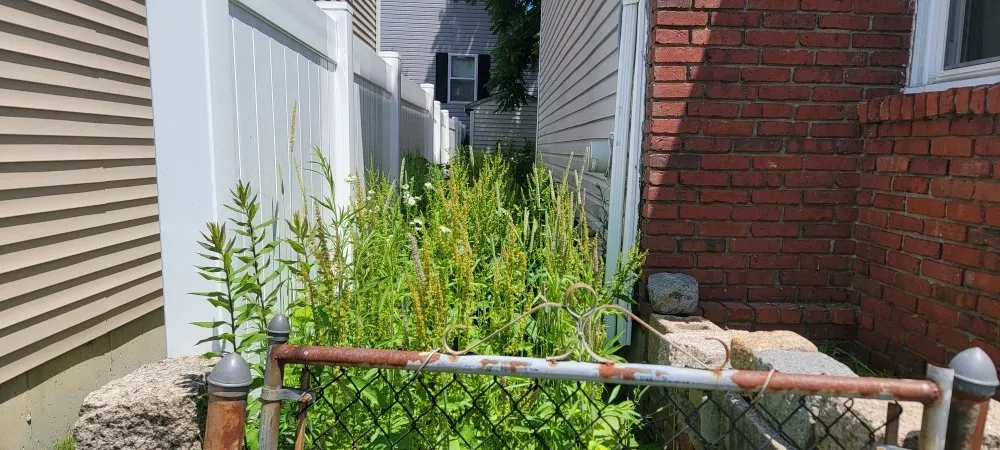 Trusted residential landscaping in Fall River, MA - Luciris lawncare