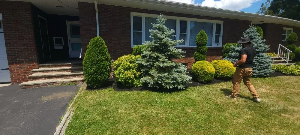 Affordable lawn care service in Fall River, MA by Luciris lawncare