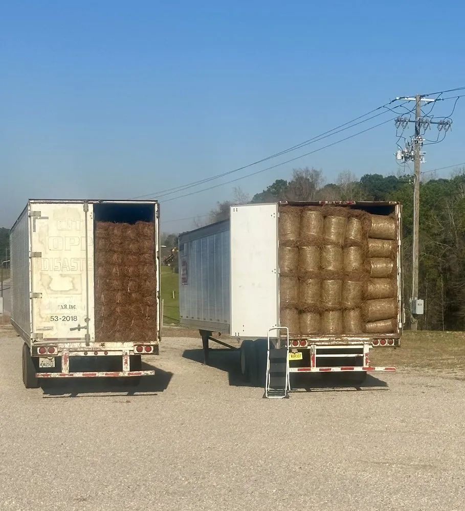 Top-rated outdoor landscaping in Auburn, AL by Luckies Pinestraw