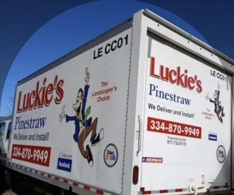 Luckies Pinestraw Logo