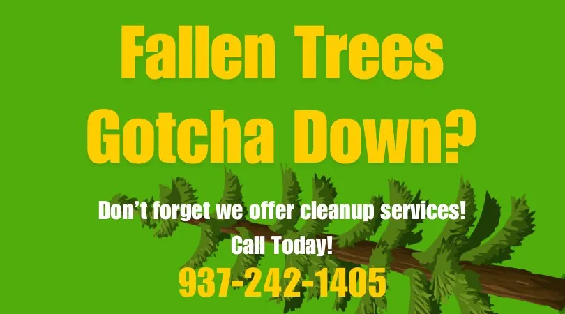 Custom landscaping services in Dayton, OH by Lucky 1 Lawn Care Services