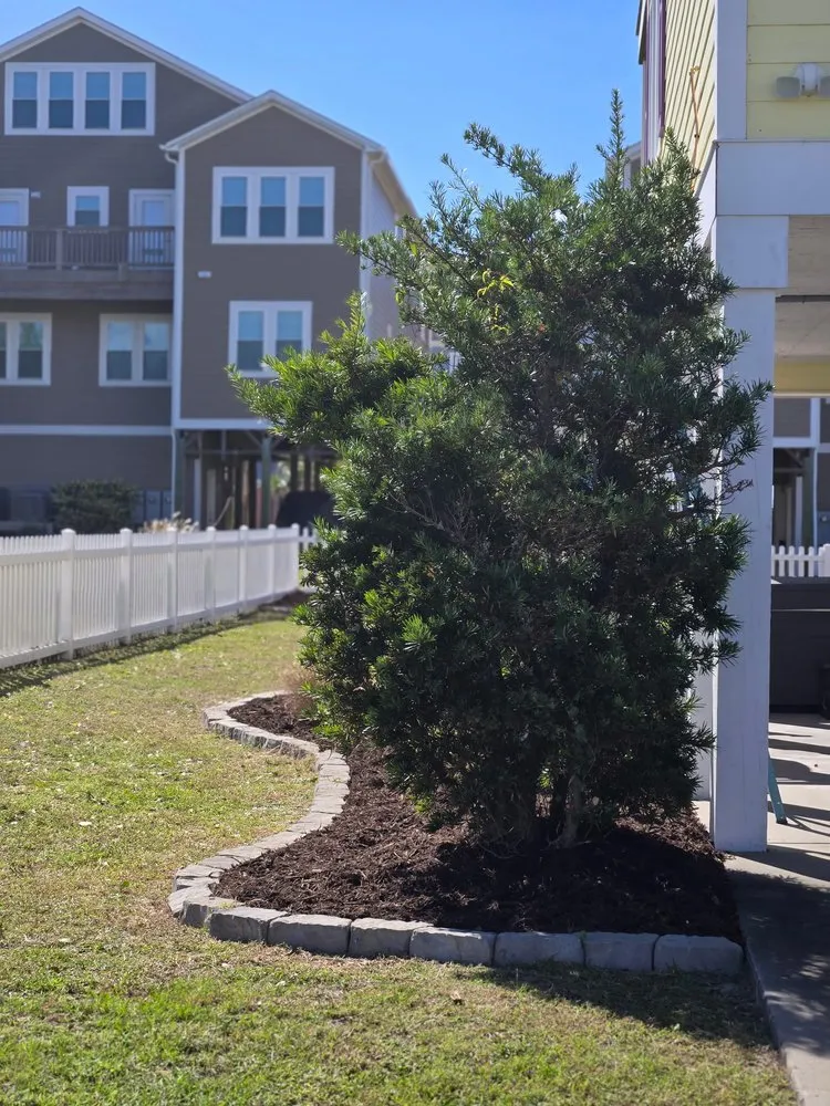 Reliable landscaping services experts serving Newport, NC - Lucky 13 Lawn Care