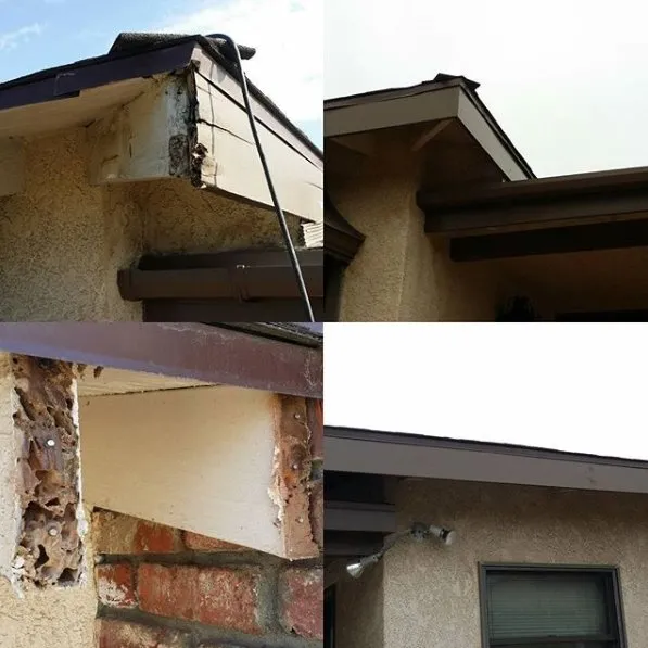 Professional residential landscaping experts serving Torrance, CA - Lucky 7 Landscapes