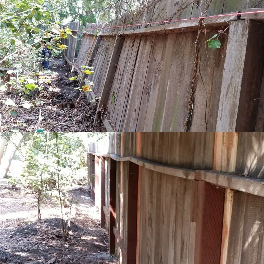 Professional garden landscaping with custom design across Torrance, CA - Lucky 7 Landscapes