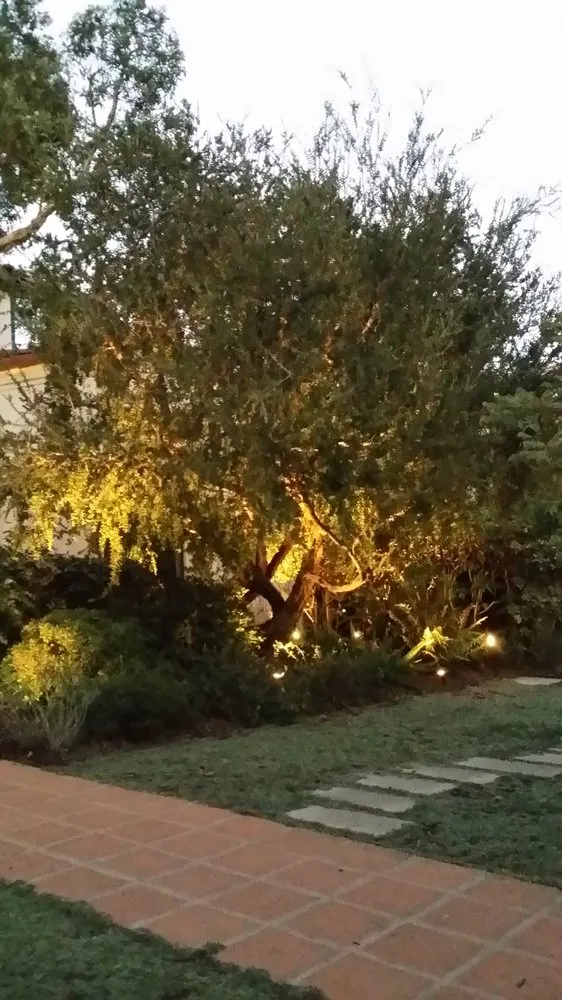 Local lawn mowing service for beautiful yards in Torrance, CA by Lucky 7 Landscapes