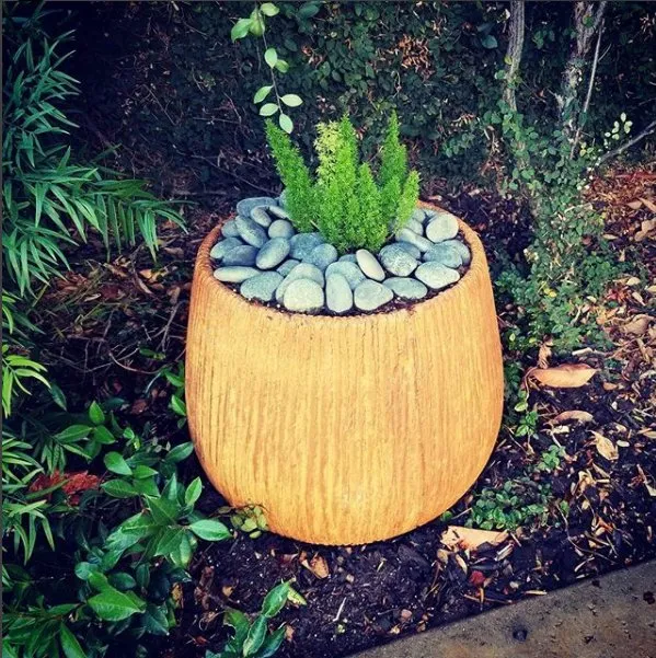 Expert yard maintenance experts serving Torrance, CA - Lucky 7 Landscapes