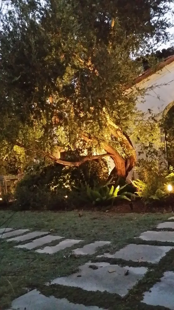 Custom outdoor landscaping for beautiful yards across Torrance, CA - Lucky 7 Landscapes