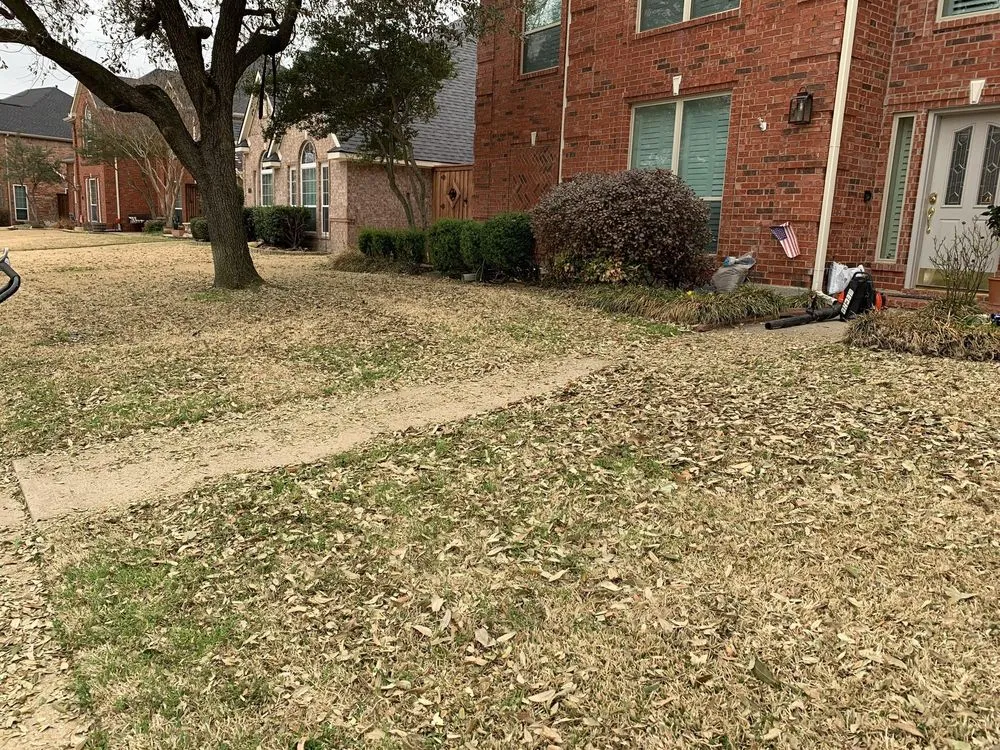Local lawn care service in Carrollton, TX - Lucky 7 Landscaping