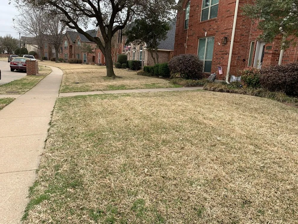 Custom garden landscaping for residential properties across Carrollton, TX - Lucky 7 Landscaping