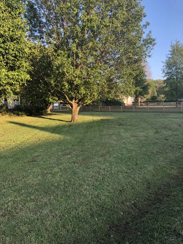 Affordable garden landscaping for residential properties across Lebanon, TN - Lucky 7 Lawn, Landscaping & Cleaning Services