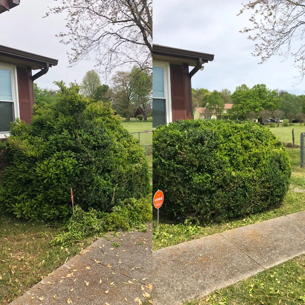 Affordable landscaping services in Lebanon, TN by Lucky 7 Lawn, Landscaping & Cleaning Services