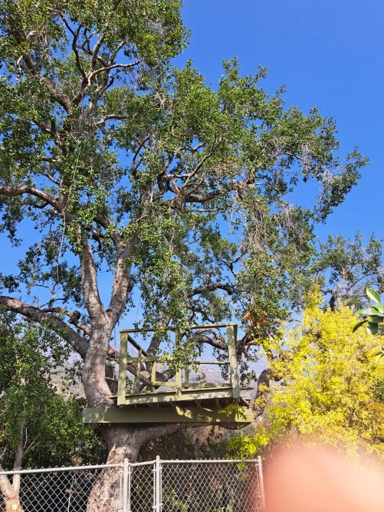 Affordable lawn mowing service with custom design across Covina, CA - Lucky 7 Tree Services