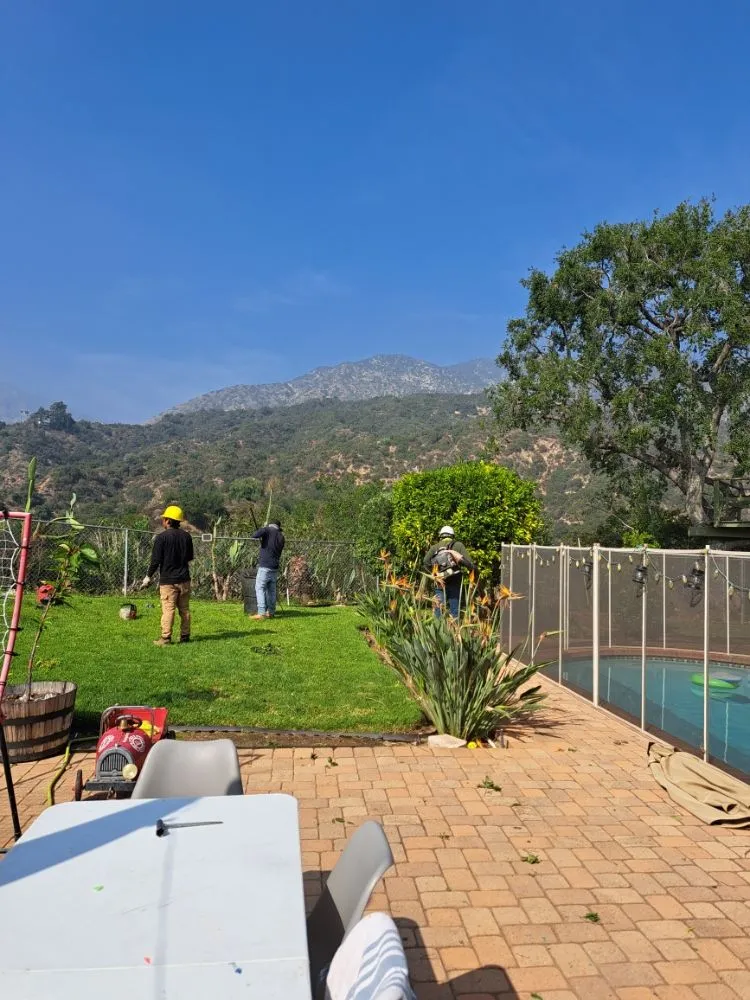 Professional lawn care service experts serving Covina, CA - Lucky 7 Tree Services