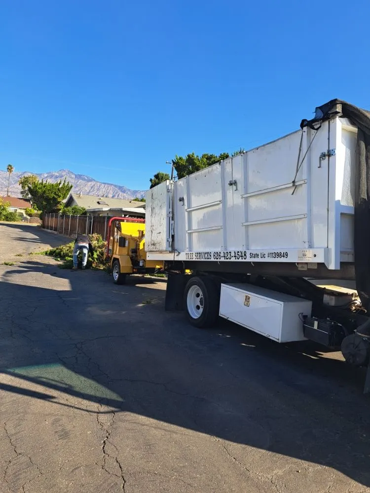 Local outdoor landscaping experts serving Covina, CA - Lucky 7 Tree Services