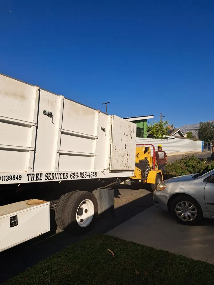 Top-rated landscaping services in Covina, CA - Lucky 7 Tree Services