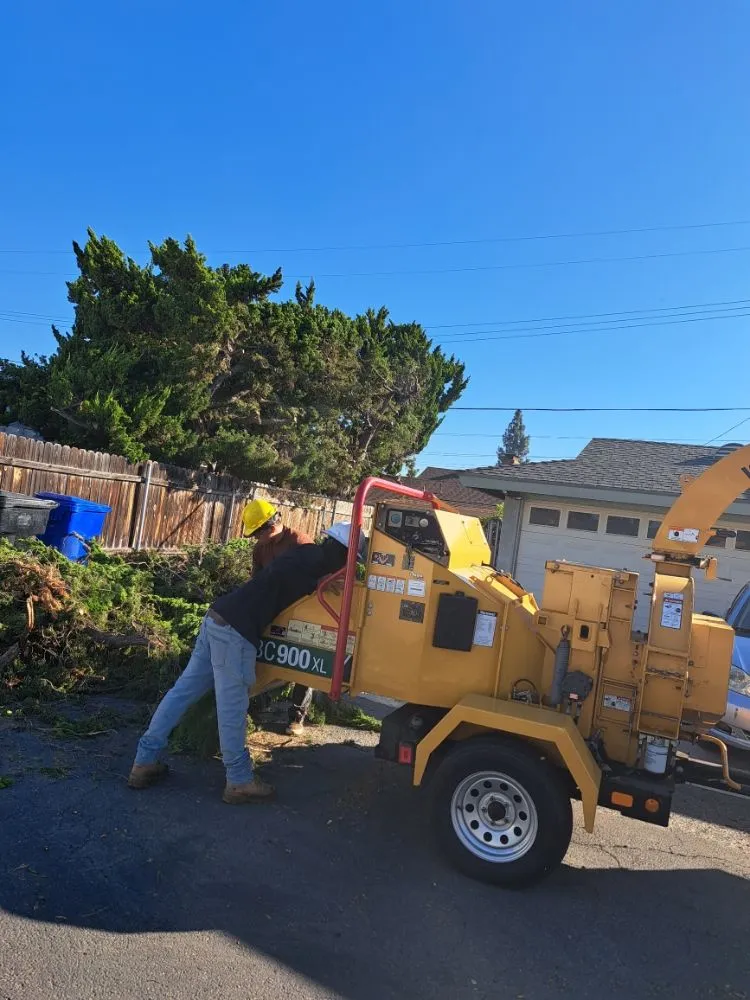 Trusted residential landscaping near you across Covina, CA - Lucky 7 Tree Services