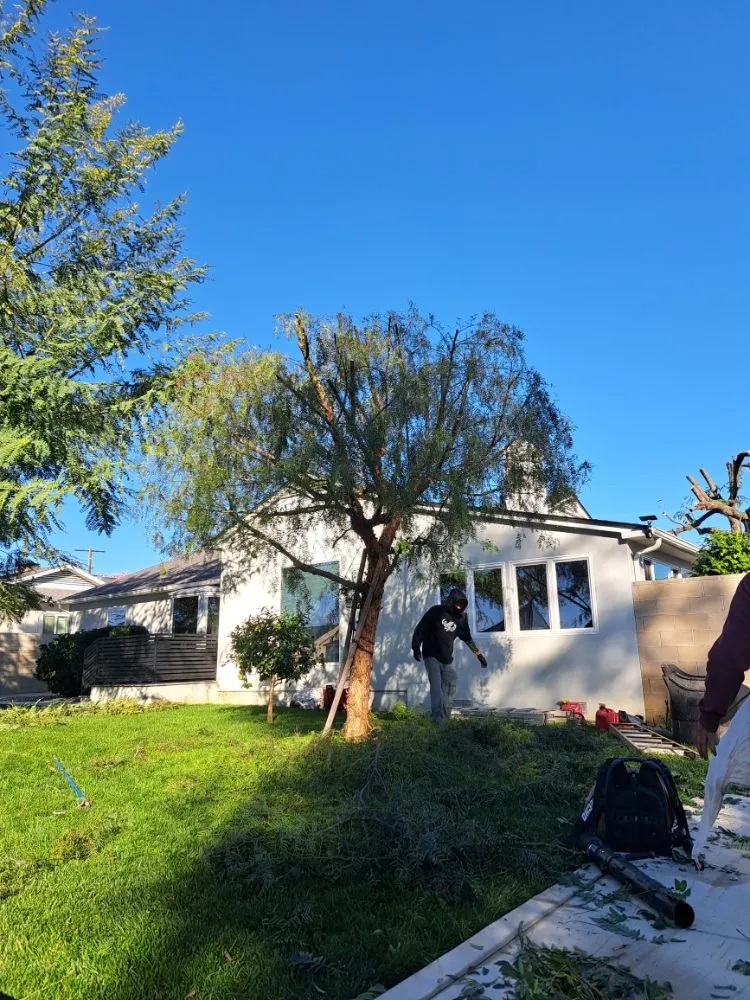 Expert lawn mowing service in Covina, CA - Lucky 7 Tree Services
