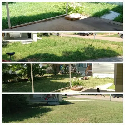 Lucky Clover Greens Logo