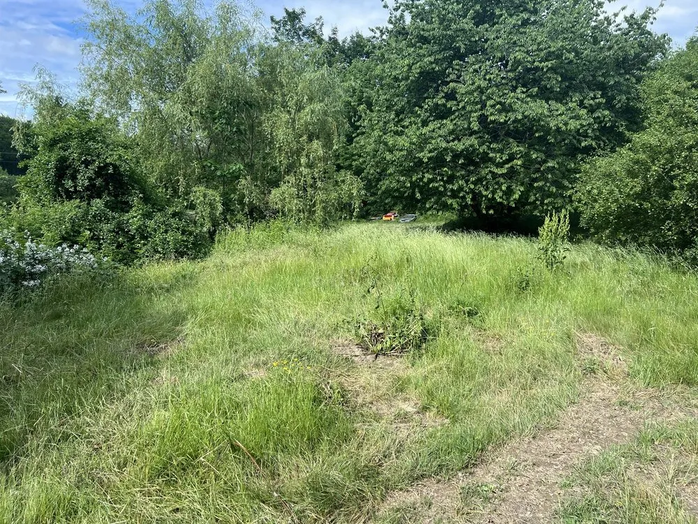 Custom lawn mowing service for residential properties across Pittston, ME - Lucky Clover Lawncare