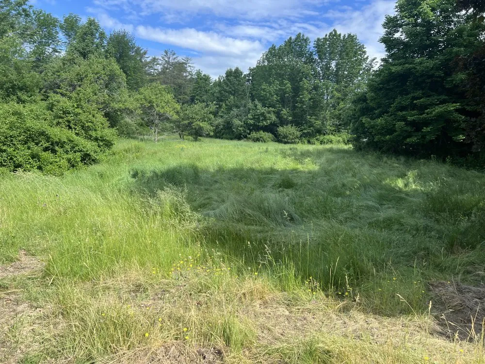 Custom yard cleanup service experts serving Pittston, ME - Lucky Clover Lawncare