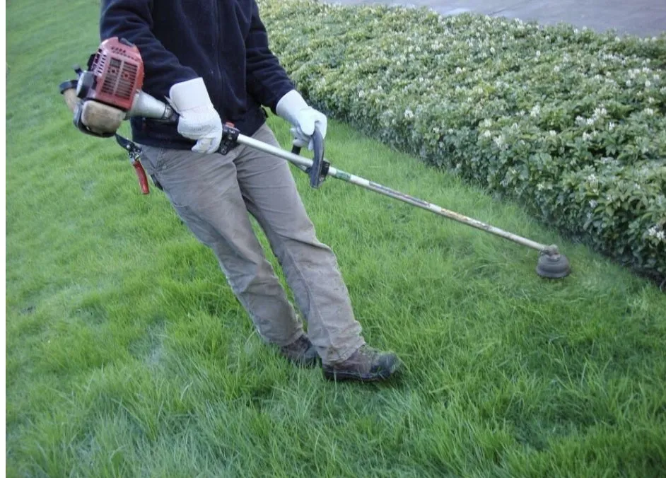 Affordable residential landscaping experts serving College Grove, TN - Lucky Grass Lawn Care