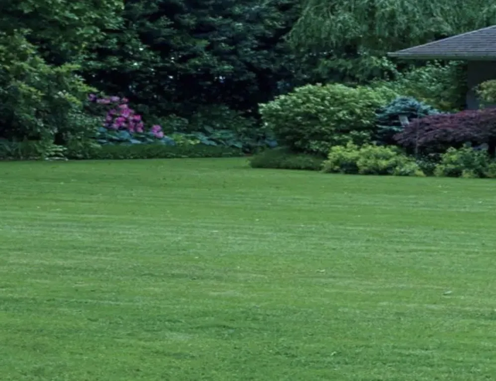 Expert garden landscaping experts serving College Grove, TN - Lucky Grass Lawn Care