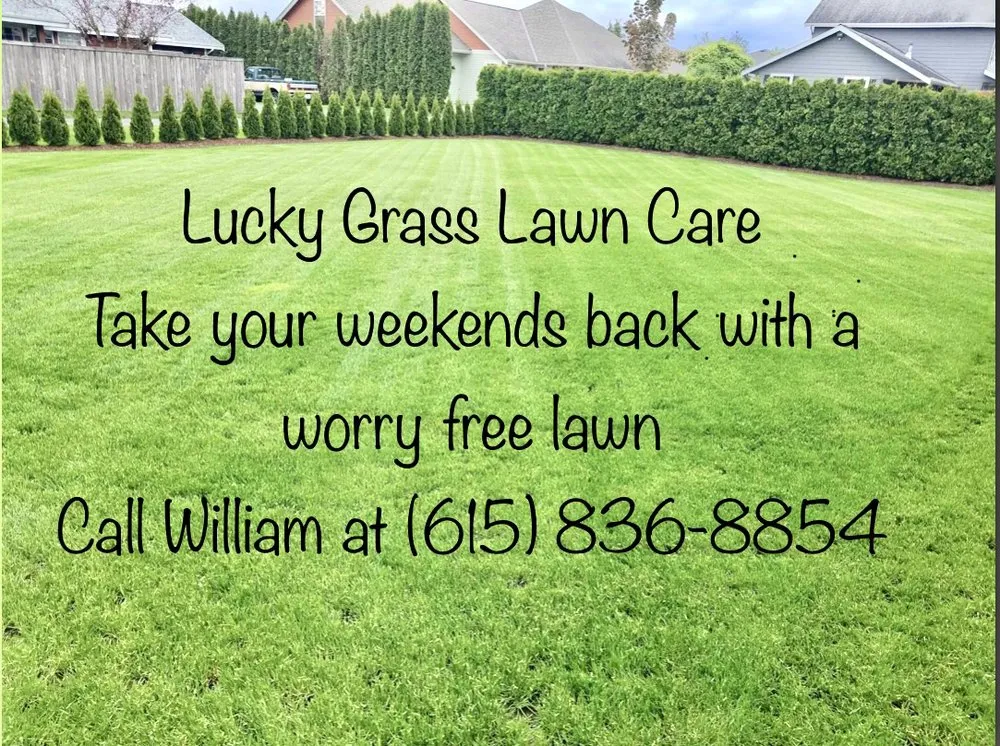 Professional residential landscaping in College Grove, TN by Lucky Grass Lawn Care