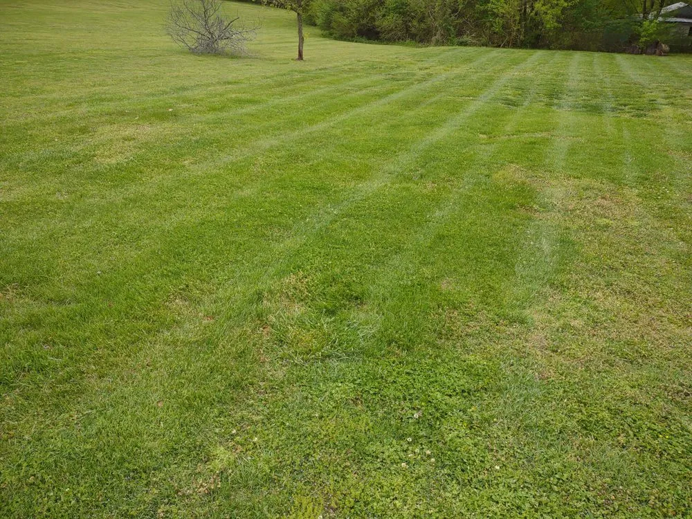 Top-rated garden landscaping in Summertown, TN - Lucky Horseshoe Lawn Care