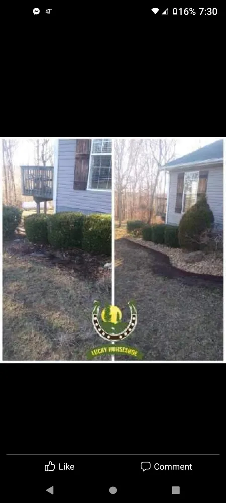 Trusted yard cleanup service in Summertown, TN - Lucky Horseshoe Lawn Care