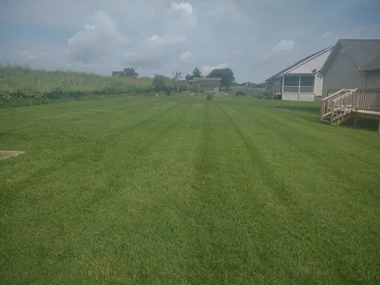 Lucky Horseshoe Lawn Care Logo