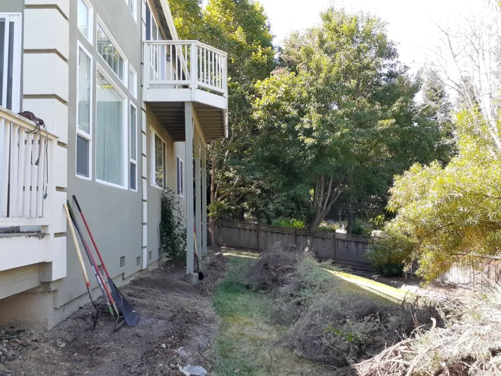 Affordable lawn care service for homes across Gilroy, CA - Lucky Landscape