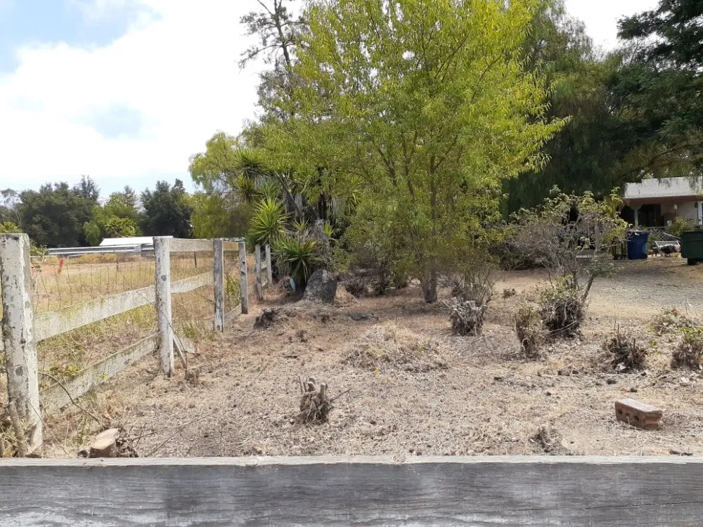 Expert landscape installation with custom design in Gilroy, CA by Lucky Landscape