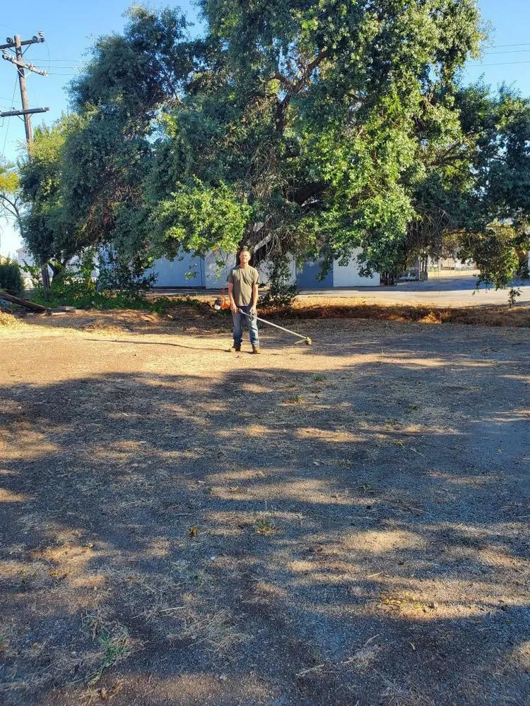 Top-rated lawn care service in Gilroy, CA by Lucky Landscape