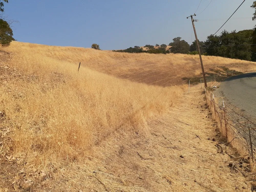 Trusted yard maintenance experts serving Gilroy, CA - Lucky Landscape